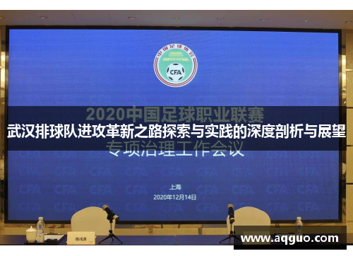 武汉排球队进攻革新之路探索与实践的深度剖析与展望