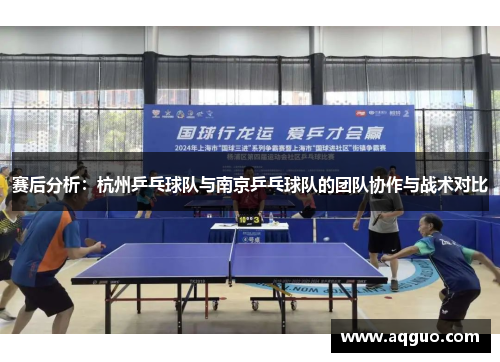 赛后分析：杭州乒乓球队与南京乒乓球队的团队协作与战术对比