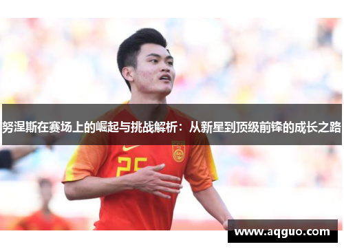 努涅斯在赛场上的崛起与挑战解析：从新星到顶级前锋的成长之路