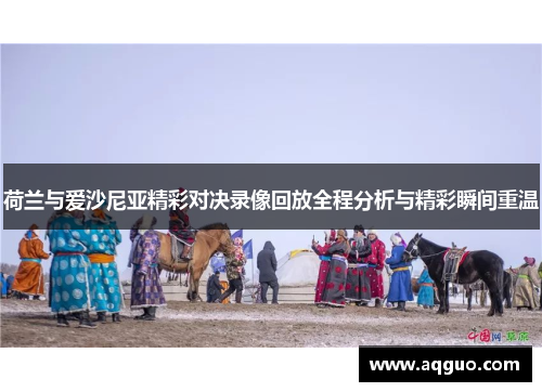 荷兰与爱沙尼亚精彩对决录像回放全程分析与精彩瞬间重温